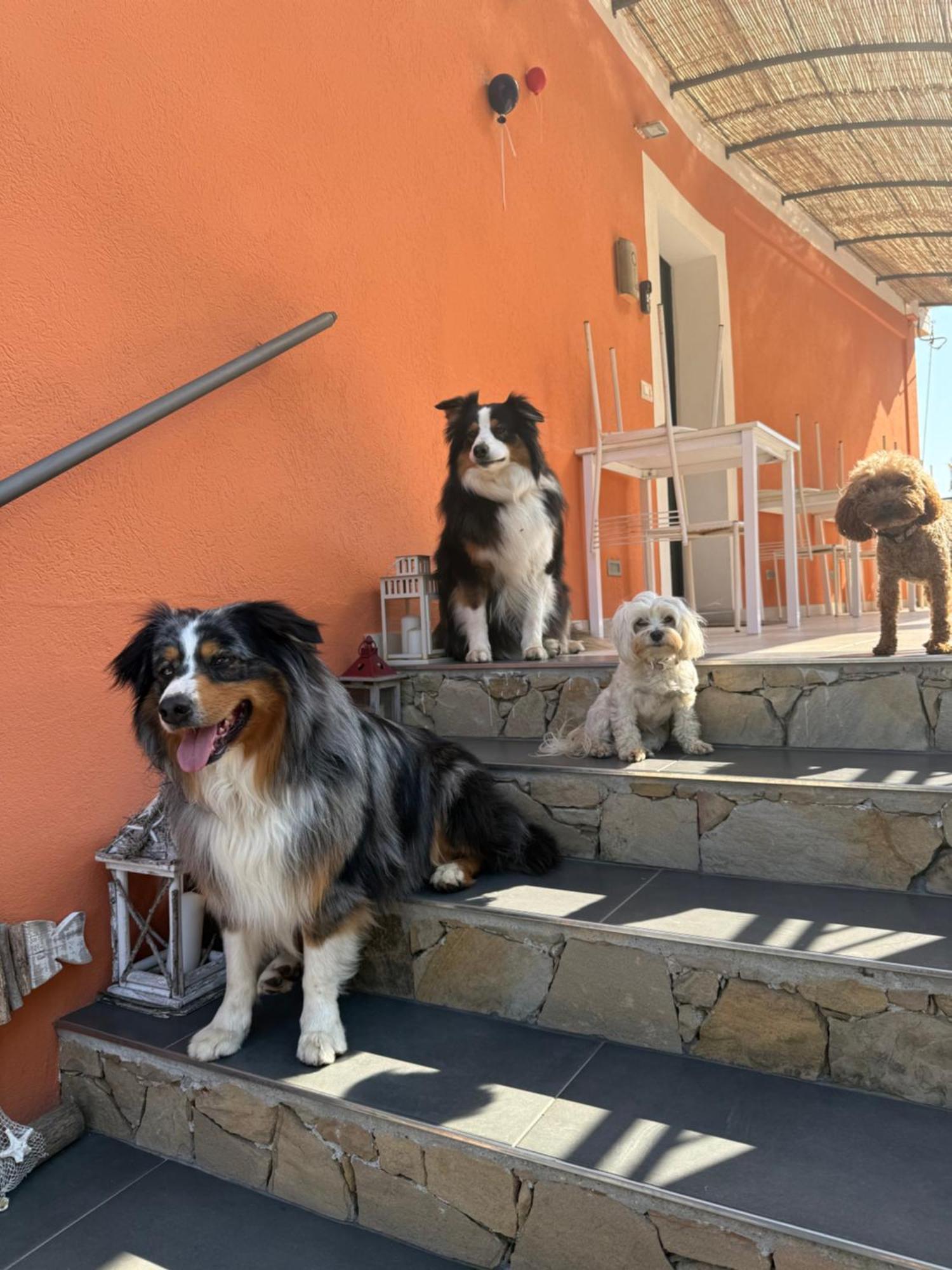 Agriturismo Un Mare Di Fiori Ventimiglia Bagian luar foto