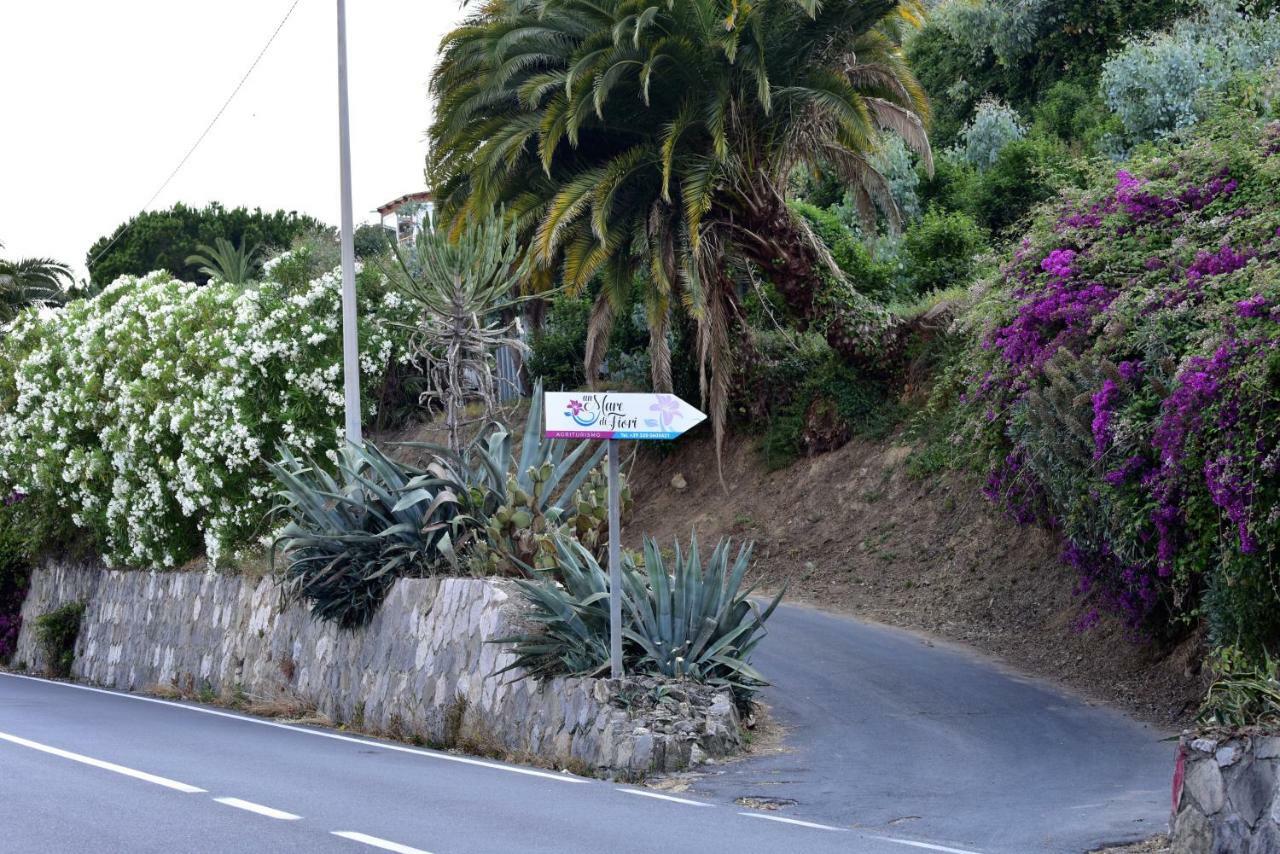 Agriturismo Un Mare Di Fiori Ventimiglia Bagian luar foto